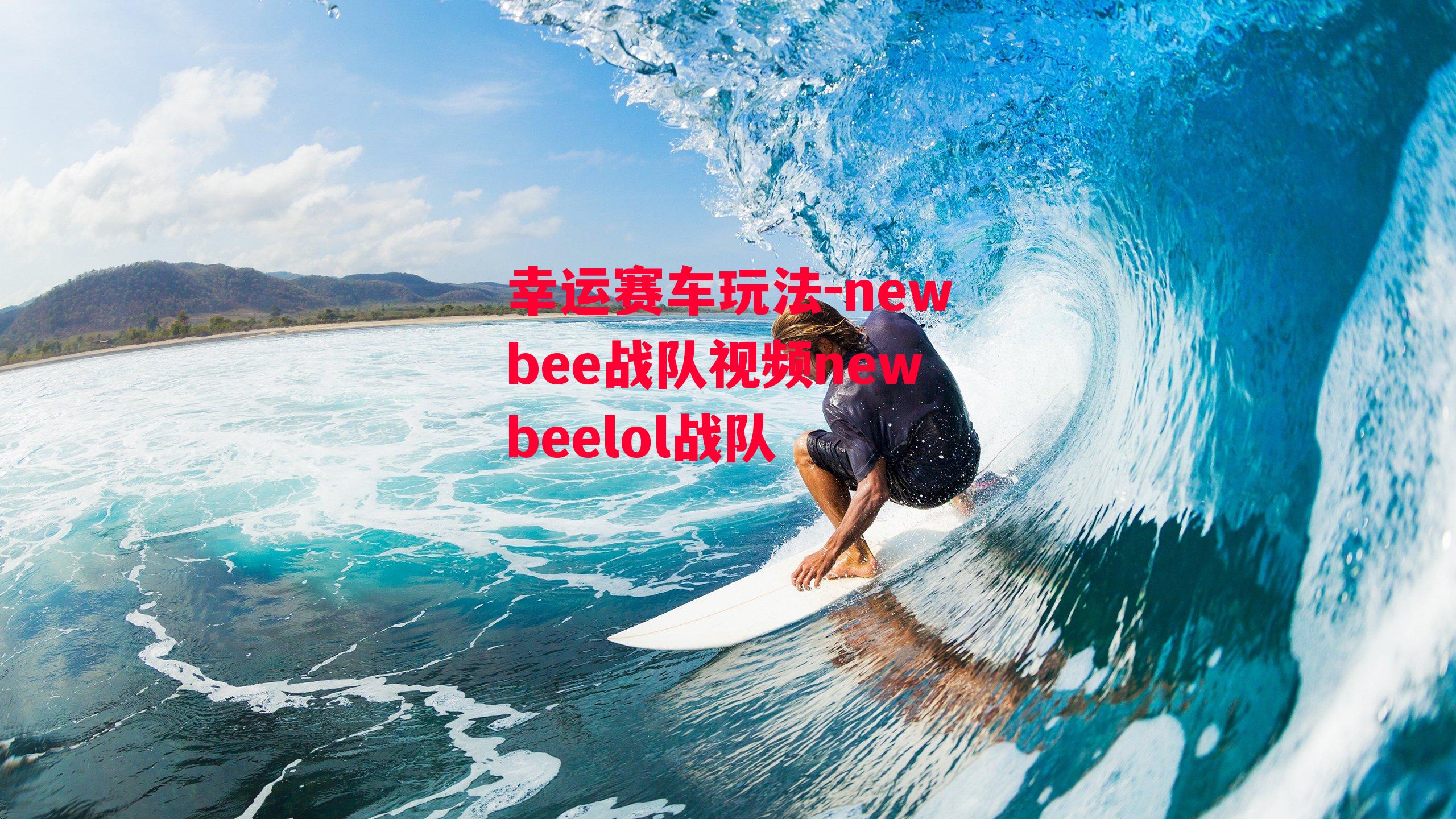 newbee战队视频newbeelol战队